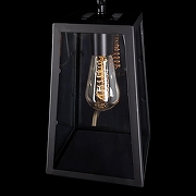 Подвесной светильник Loft it Modern F1lament LOFT1127 цвет плафона/подвески Прозрачный, цвет арматуры Черный-3