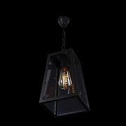 Подвесной светильник Loft it Modern F1lament LOFT1127 цвет плафона/подвески Прозрачный, цвет арматуры Черный-4