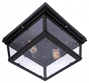 Накладной светильник Loft it Modern F1lament LOFT3110-2C цвет плафона/подвески Прозрачный, цвет арматуры Черный-1