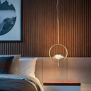 Подвесной светильник Imperiumloft Lotos LOTOS-ONE01 цвет плафона/подвески Прозрачный, цвет арматуры Латунь-7