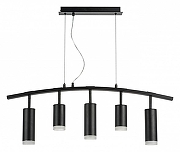 Подвесной светильник Lightstar Rullo LR7353728730 цвет плафона/подвески Прозрачный, Хром, цвет арматуры Черный-1