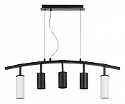 Подвесной светильник Lightstar Rullo LR735862373 цвет плафона/подвески Белый, Черный, цвет арматуры Черный-1