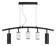 Подвесной светильник Lightstar Rullo LR735872363 цвет плафона/подвески Белый, Черный, цвет арматуры Черный-1