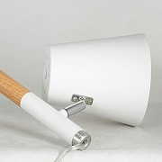 Торшер Lussole Buckeye LSP-0628 цвет плафона/подвески Белый, цвет арматуры Белый, Коричневый-3