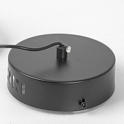 Подвесной светильник Lussole Aberdeen LSP-7151 цвет плафона/подвески Белый, Черный, цвет арматуры Черный-4