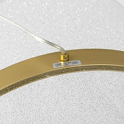 Подвесной светильник Lussole Bradford LSP-7159 цвет плафона/подвески Прозрачный, цвет арматуры Золото-3