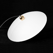 Подвесной светильник Lussole Irvine LSP-7342 цвет плафона/подвески Белый, цвет арматуры Черный-4