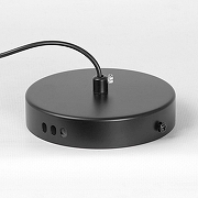 Подвесной светильник Lussole Irvine LSP-7342 цвет плафона/подвески Белый, цвет арматуры Черный-5