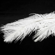 Подвесной светильник Lussole LSP-86 LSP-8601 цвет плафона/подвески Белый, цвет арматуры Белый-4