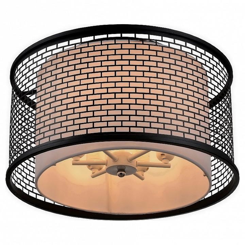 Накладной светильник Lussole Levittown LSP-9676 