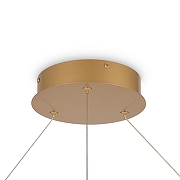 Подвесной светильник Maytoni R1m MOD058PL-L65BSK цвет плафона/подвески Латунь, цвет арматуры Латунь-5