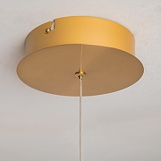 Подвесной светильник Maytoni Plume MOD340PL-L20BS3K цвет плафона/подвески Прозрачный, цвет арматуры Латунь-4