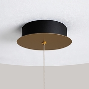 Подвесной светильник Maytoni Pharao MOD361PL-L22BS3K цвет плафона/подвески Прозрачный, цвет арматуры Латунь, Черный-7