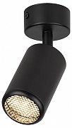 Спот Эра OL55 BK цвет плафона/подвески Черный, цвет арматуры Черный-1