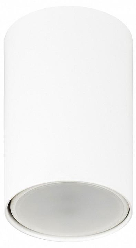 Накладной светильник Эра OL57 WH 