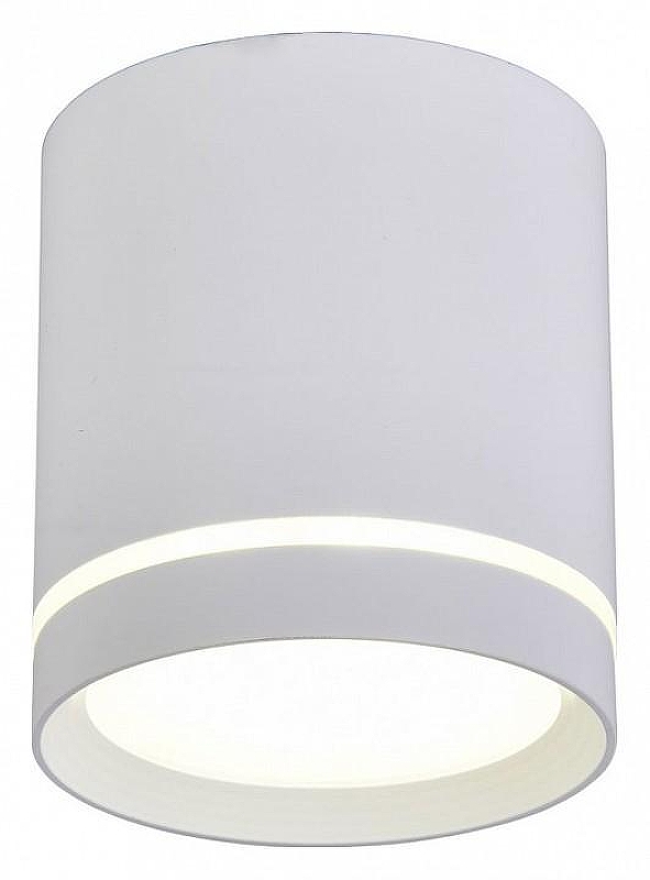 Накладной светильник Omnilux Capurso OML-102409-05 