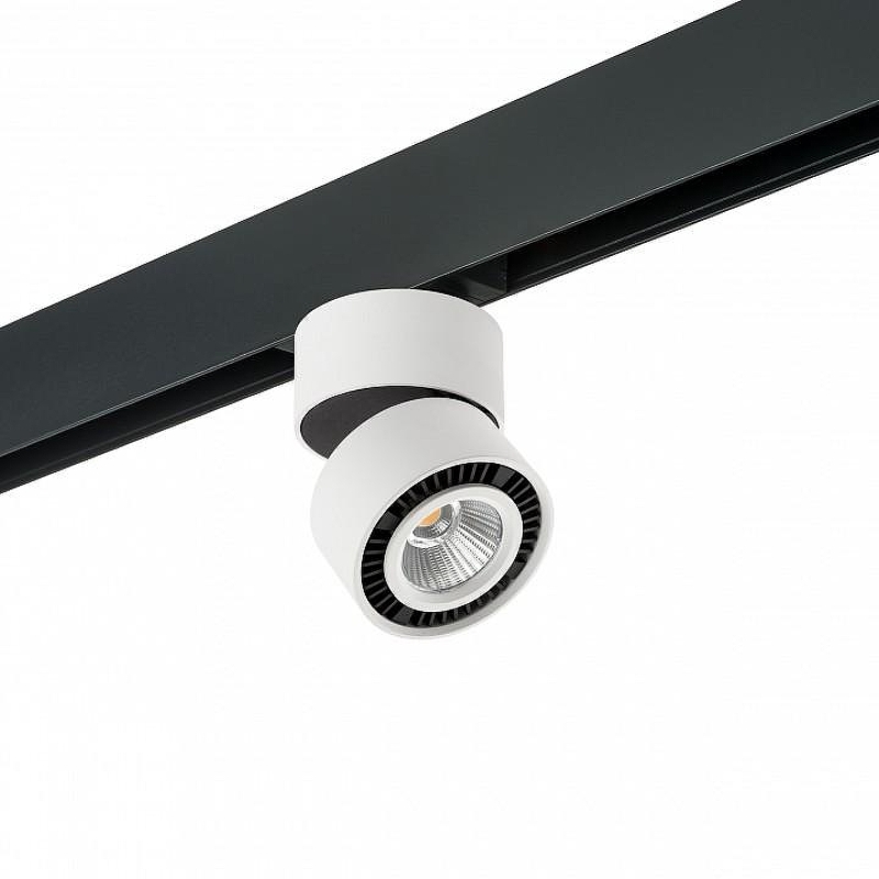 Светильник на штанге Lightstar Forte Muro PRO213816 