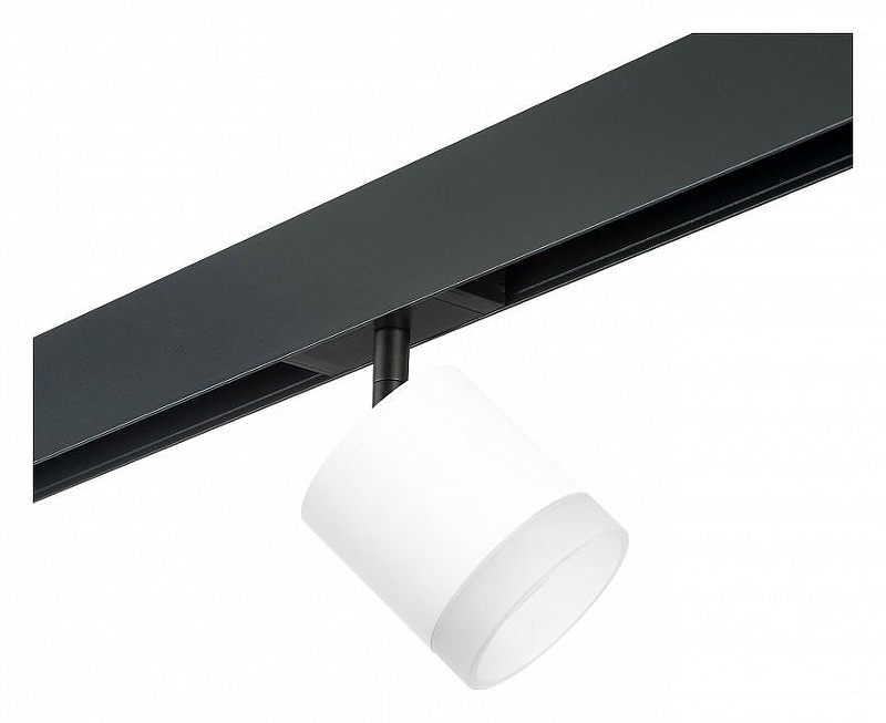 Светильник на штанге Lightstar Rullo PRO348680 