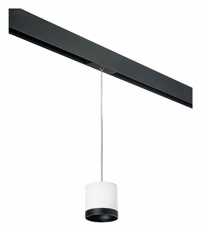 Подвесной светильник Lightstar Rullo PRORP34863487 