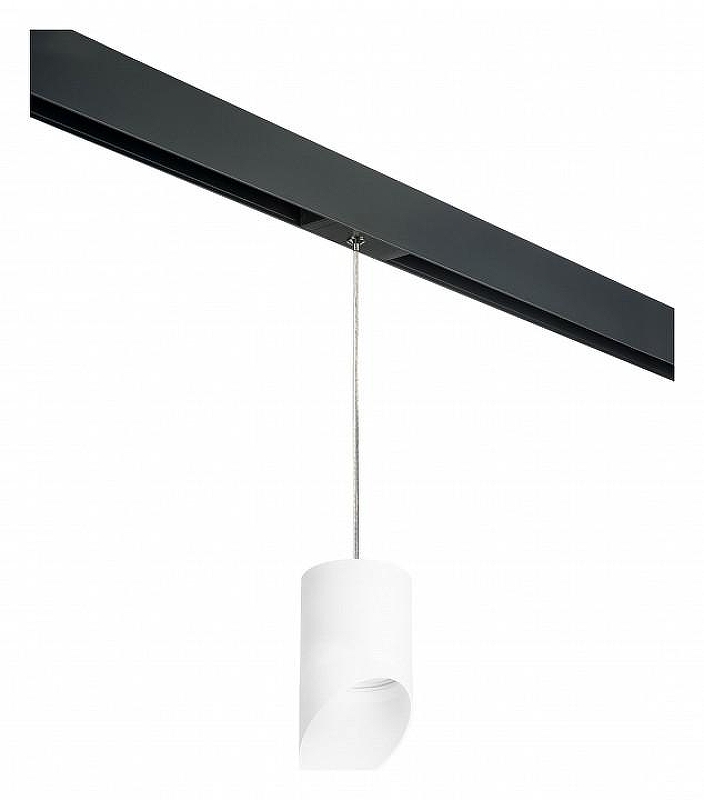 Подвесной светильник Lightstar Rullo PRORP348686 