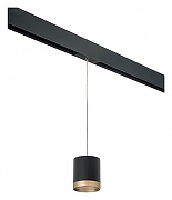 Подвесной светильник Lightstar Rullo PRORP348790 цвет плафона/подвески Черный, Золото, цвет арматуры Черный