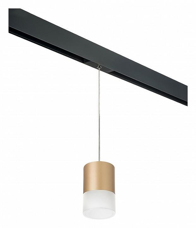 Подвесной светильник Lightstar Rullo PRORP349081 