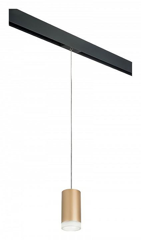 Подвесной светильник Lightstar Rullo PRORP44030 