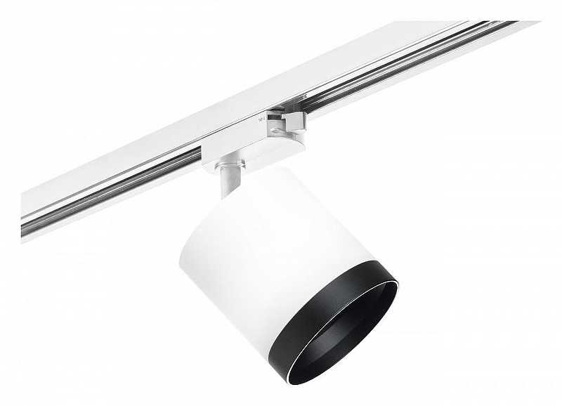 Светильник на штанге Lightstar Rullo R1T34863487 