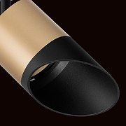 Светильник на штанге Lightstar Rullo R1T349087 цвет плафона/подвески Черный, Золото, цвет арматуры Черный-3