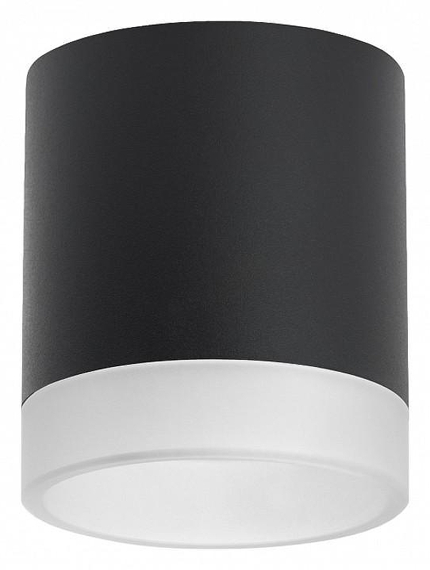 Накладной светильник Lightstar Rullo R348780 