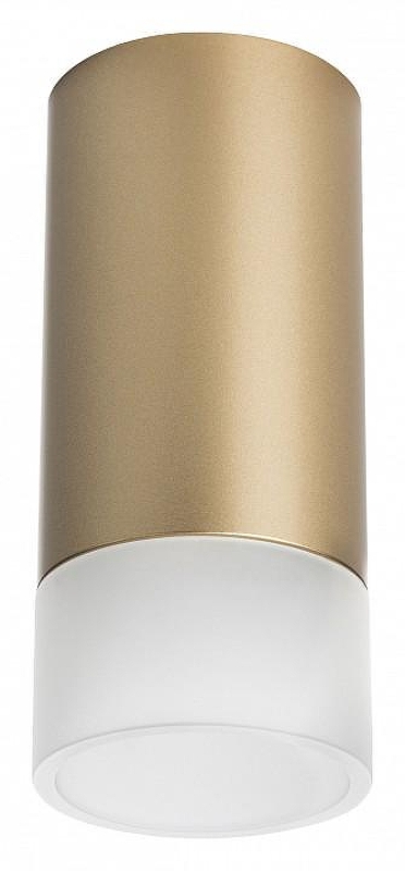 Накладной светильник Lightstar Rullo R44031 