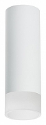 Накладной светильник Lightstar Rullo R48631 цвет плафона/подвески Белый, цвет арматуры Белый
