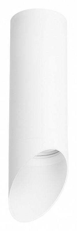 Накладной светильник Lightstar Rullo R48636 