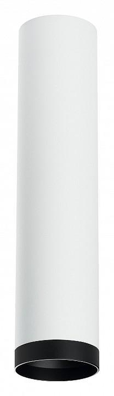 Накладной светильник Lightstar Rullo R4963437 