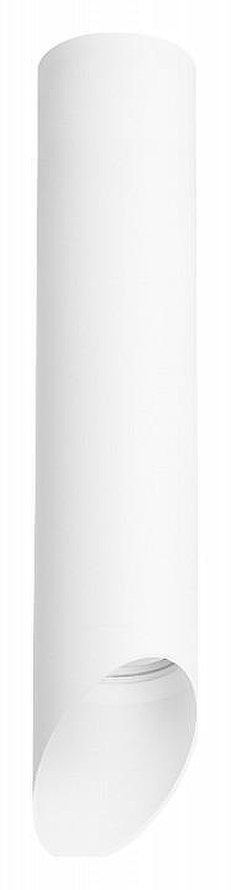 Накладной светильник Lightstar Rullo R49636 