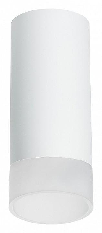 Накладной светильник Lightstar Rullo R648681 