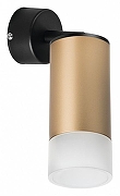 Спот Lightstar Rullo RB44031 цвет плафона/подвески Белый, Золото, цвет арматуры Черный