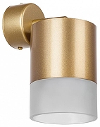 Спот Lightstar Rullo RBX349081 цвет плафона/подвески Белый, Золото, цвет арматуры Золото