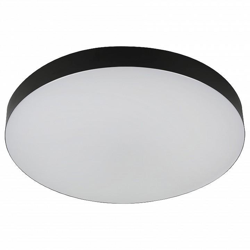 Накладной светильник Эра Relict Relict 48 Pult SPB-6-60-RC BK 