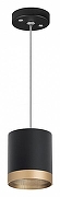 Подвесной светильник Lightstar Rullo RP348790 цвет плафона/подвески Черный, Золото, цвет арматуры Черный-1