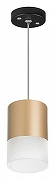 Подвесной светильник Lightstar Rullo RP349081 цвет плафона/подвески Золото, цвет арматуры Черный-1