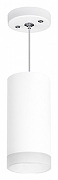 Подвесной светильник Lightstar Rullo RP648680 цвет плафона/подвески Белый, цвет арматуры Белый-1