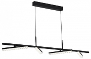 Подвесной светильник ST-Luce EUCLIDICS SL1018.403.04 цвет плафона/подвески Прозрачный, Черный, цвет арматуры Черный-2