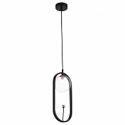 Подвесной светильник ST-Luce C1rcono SL1201.403.01 цвет плафона/подвески Прозрачный, цвет арматуры Черный-1