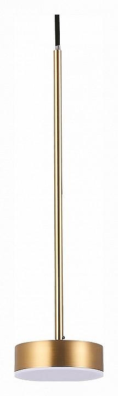 Подвесной светильник ST-Luce Pances SL6000.303.01 