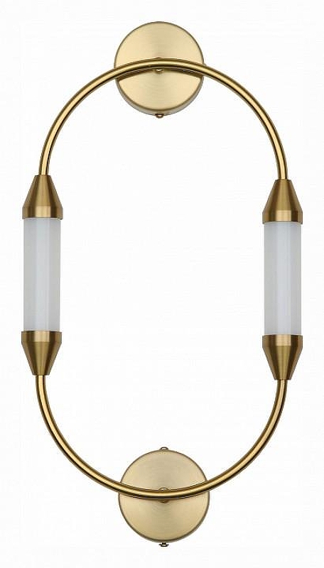 Накладной светильник ST-Luce Olb1a SL6004.301.02 