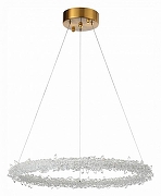 Подвесной светильник ST-Luce Lucchero SL6105.203.01 цвет плафона/подвески Прозрачный, цвет арматуры Золото-1