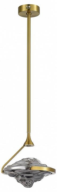 Светильник на штанге ST-Luce Amara SL6115.303.01 