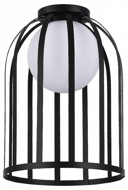 Накладной светильник ST-Luce Nord1c SL6129.402.01 