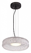 Подвесной светильник ST-Luce ANT1KE SL6143.403.01 цвет плафона/подвески Прозрачный, цвет арматуры Черный-3